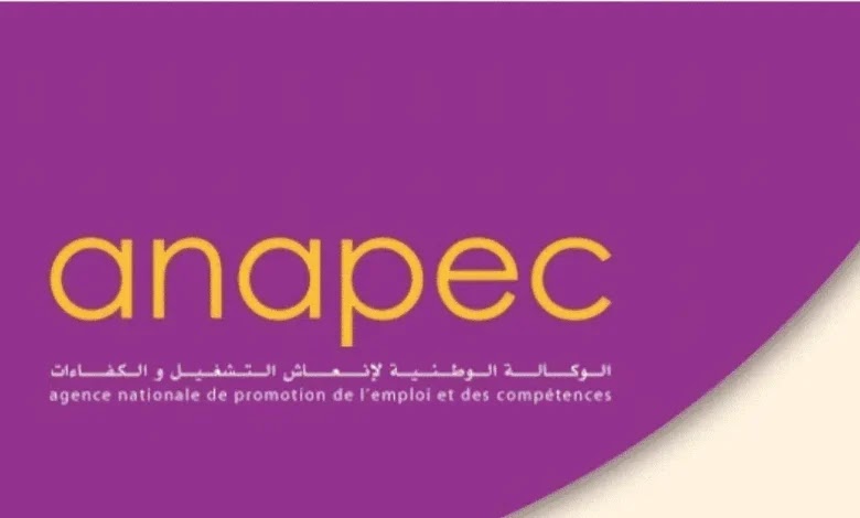 ANAPEC : Recrutement de 161 postes dans les aéroports de Casablanca, Marrakech, Fès, Inzegane, Nador, Tétouan et Essaouira.